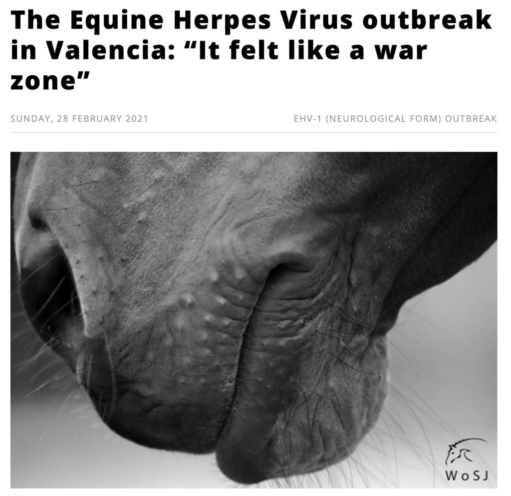 A 2021 EHV-1 outbreak in Spain shook up the show jumping world.